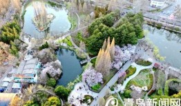 中山公园最新爆料信息网,揭秘公园焕新背后的故事